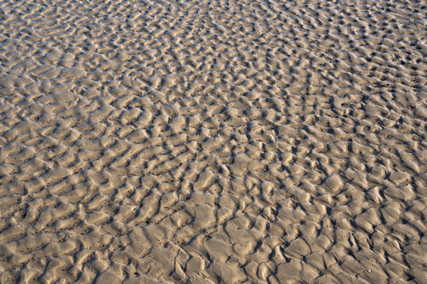 Newest Member of The Nathan Project Team 4 sand